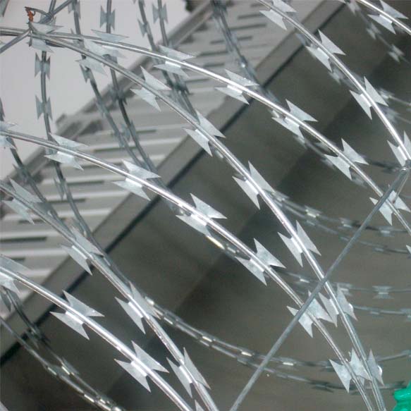 監(jiān)獄刺繩圍墻網(wǎng)  圍墻防爬刺刀網(wǎng)詳細(xì)介紹圖片1 監(jiān)獄刺繩圍墻網(wǎng)  圍墻防爬刺刀網(wǎng)詳細(xì)介紹圖片1