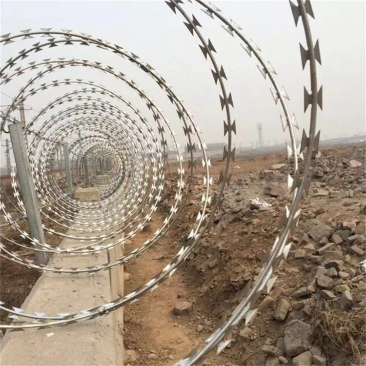 學(xué)校圍墻倒刺網(wǎng)圖片1 學(xué)校圍墻倒刺網(wǎng)圖片1