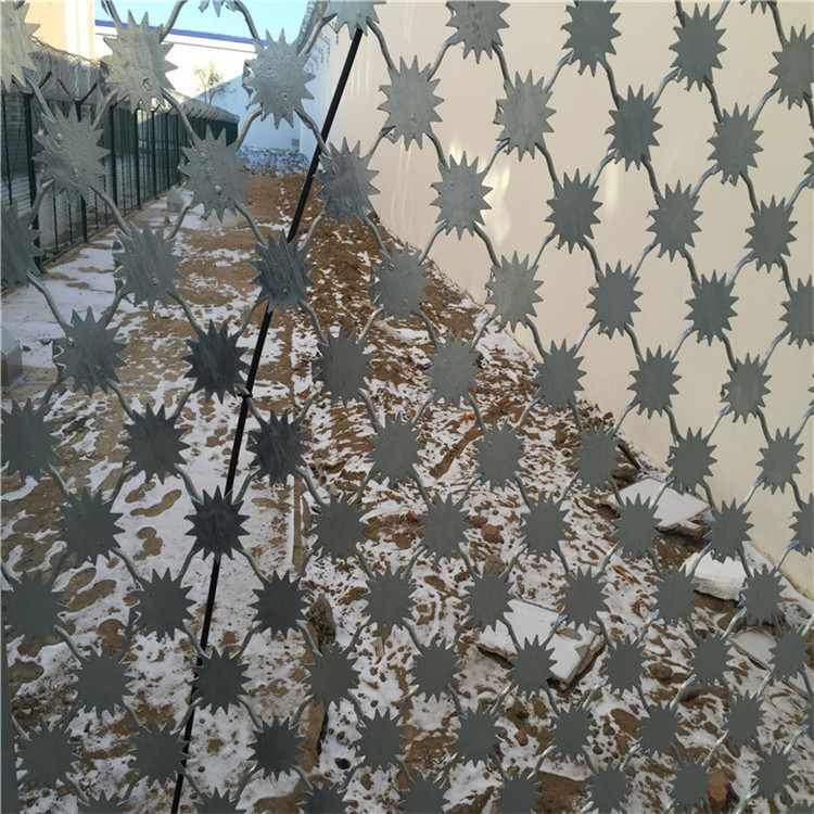 梅花刺片護欄網(wǎng)圖片2 梅花刺片護欄網(wǎng)圖片2