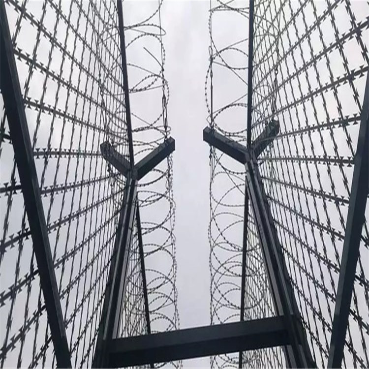 刀片刺網(wǎng)圖片4 刀片刺網(wǎng)圖片4