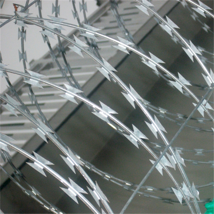 鍍鋅滾刀網(wǎng)圖片3 鍍鋅滾刀網(wǎng)圖片3