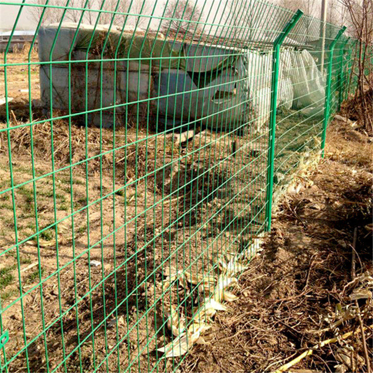 園藝雙邊絲圍欄網(wǎng) 圖片3 園藝雙邊絲圍欄網(wǎng) 圖片3